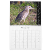 ACHTERTUIN VOGELS KALENDER (Feb 2027)