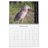 ACHTERTUIN VOGELS KALENDER (Feb 2026)