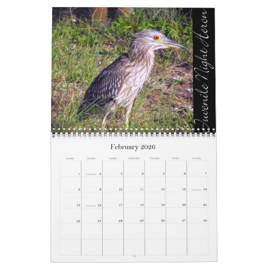 ACHTERTUIN VOGELS KALENDER (Feb 2026)