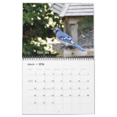 Achtertuin vogels kalender (Mar 2026)