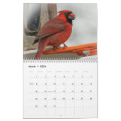 Achtertuin vogels kalender (Mar 2026)