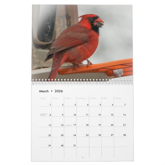 Achtertuin vogels kalender (Mar 2026)
