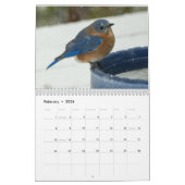 Achtertuin vogels kalender (Feb 2026)