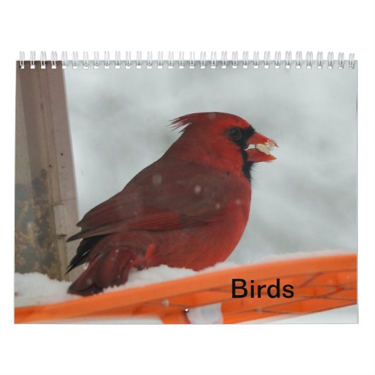 Achtertuin vogels kalender (Hoes)