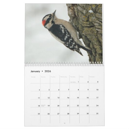 Achtertuin vogels kalender (Jan 2026)