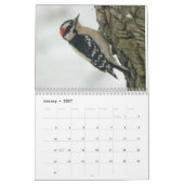 Achtertuin vogels kalender (Jan 2027)