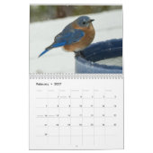 Achtertuin vogels kalender (Feb 2027)
