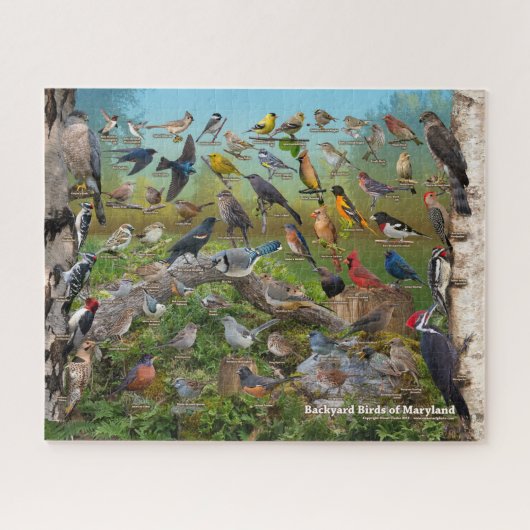 Achtertuin vogels Maryland Legpuzzel (Horizontaal)