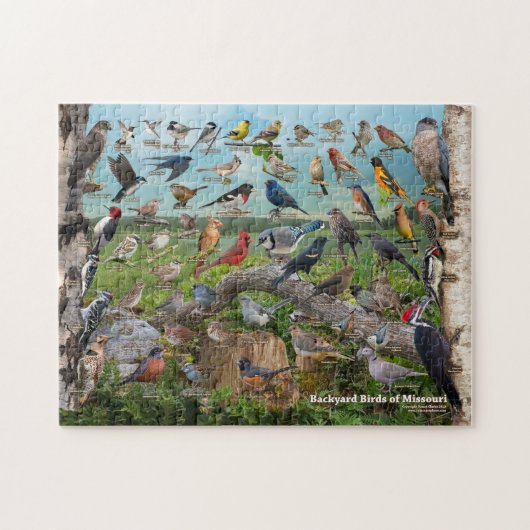 Achtertuin vogels Missouri Legpuzzel (Horizontaal)