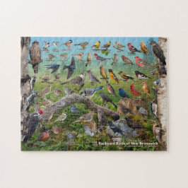 Achtertuin vogels New Brunswick Legpuzzel