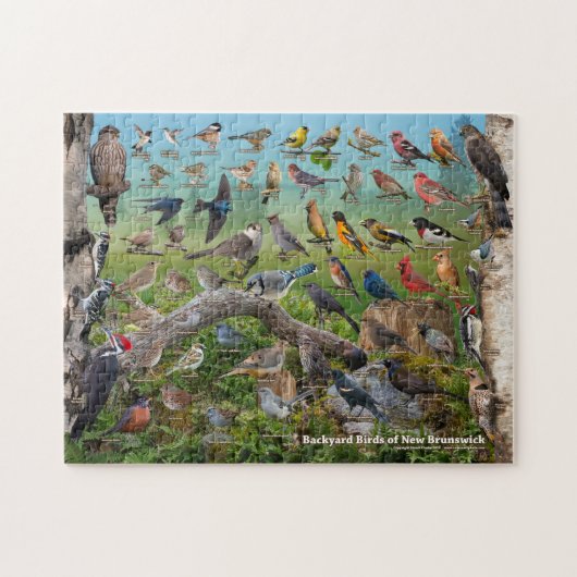 Achtertuin vogels New Brunswick Legpuzzel (Horizontaal)