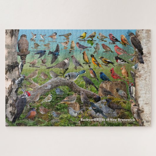 Achtertuin vogels New Brunswick Legpuzzel (Horizontaal)