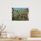 Achtertuin vogels New Brunswick Poster (Keuken)