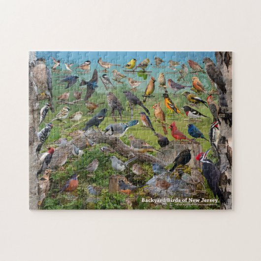 Achtertuin vogels New Jersey Legpuzzel (Horizontaal)