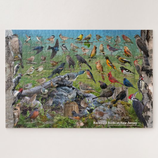 Achtertuin vogels New Jersey Legpuzzel (Horizontaal)
