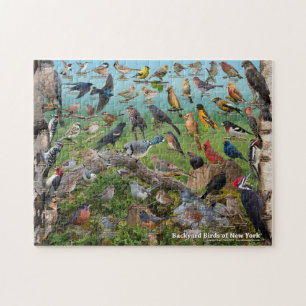 Achtertuin vogels New York Puzzle Legpuzzel