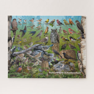 Achtertuin vogels Newfoundland Legpuzzel