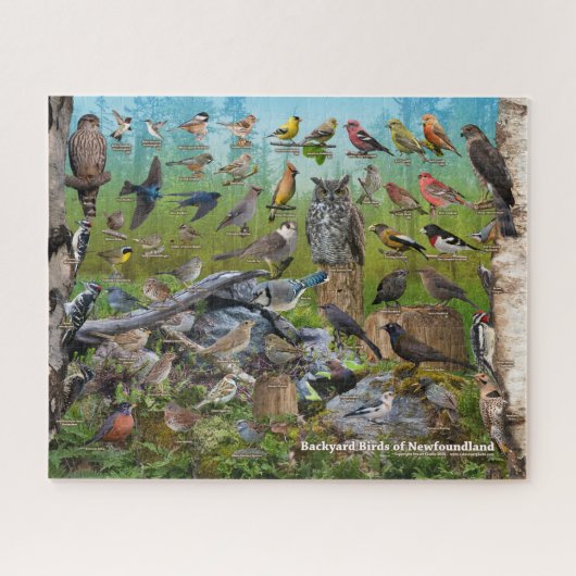 Achtertuin vogels Newfoundland Legpuzzel (Horizontaal)