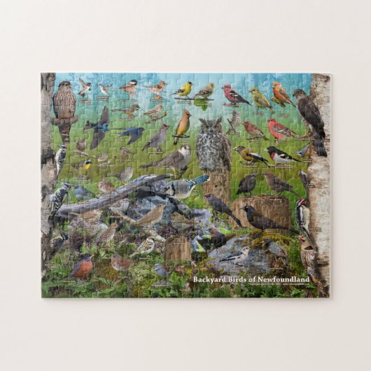 Achtertuin vogels Newfoundland Legpuzzel (Horizontaal)