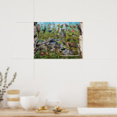 Achtertuin vogels Newfoundland Poster (Keuken)