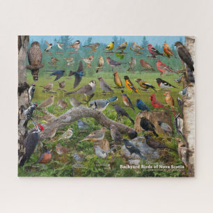 Achtertuin vogels Nova Scotia Puzzle Legpuzzel