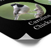 Achtertuin Vogels Poster (Hoek)