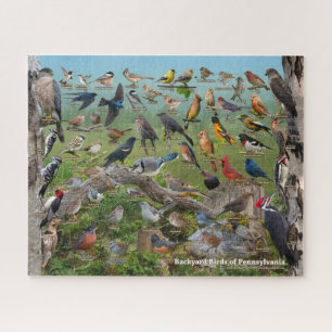 Achtertuin vogels uit Pennsylvania Legpuzzel