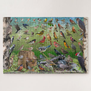Achtertuin vogels van de Oost-Amerikaanse puzzel