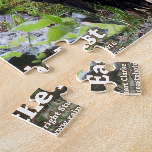 Achtertuin vogels van de Oost-Amerikaanse puzzel Legpuzzel (Zijkant)