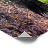 Achtertuin vogels van de West Large Poster (Hoek)