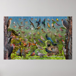 Achtertuin vogels van de West Large Poster