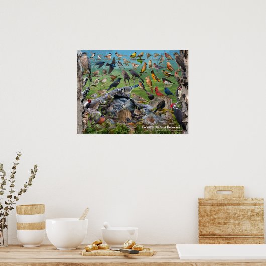 Achtertuin vogels van Delaware Poster (Keuken)
