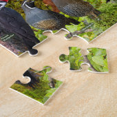 Achtertuin vogels van het westen legpuzzel (Zijkant)