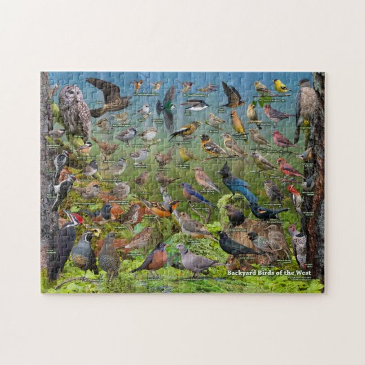 Achtertuin vogels van het westen legpuzzel (Horizontaal)