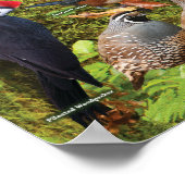 Achtertuin vogels van het westen poster (Hoek)