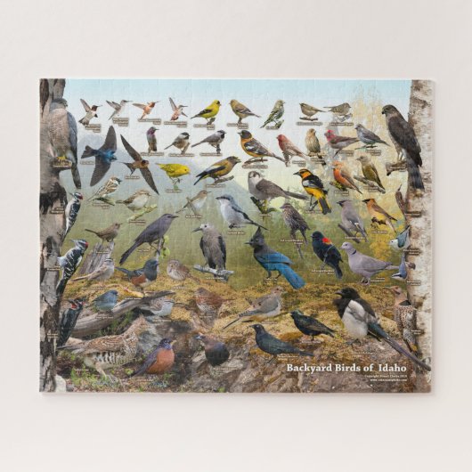 Achtertuin vogels van Idaho Legpuzzel (Horizontaal)