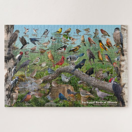 Achtertuin vogels van Illinois Legpuzzel (Horizontaal)