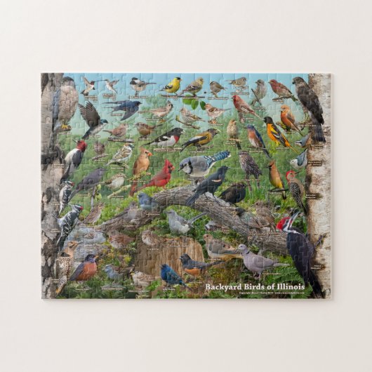 Achtertuin vogels van Illinois Legpuzzel (Horizontaal)