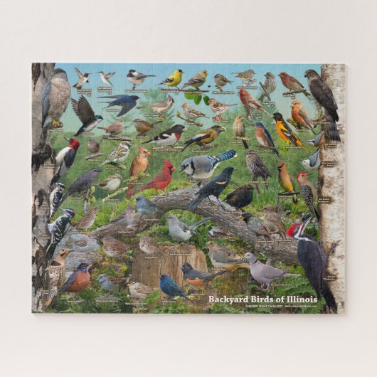 Achtertuin vogels van Illinois Puzzle Legpuzzel (Horizontaal)