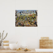 Achtertuin vogels van Kansas Poster (Keuken)