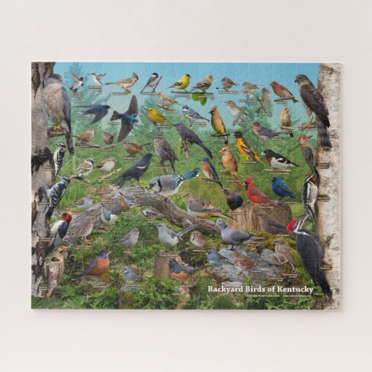 Achtertuin vogels van Kentucky Legpuzzel (Horizontaal)
