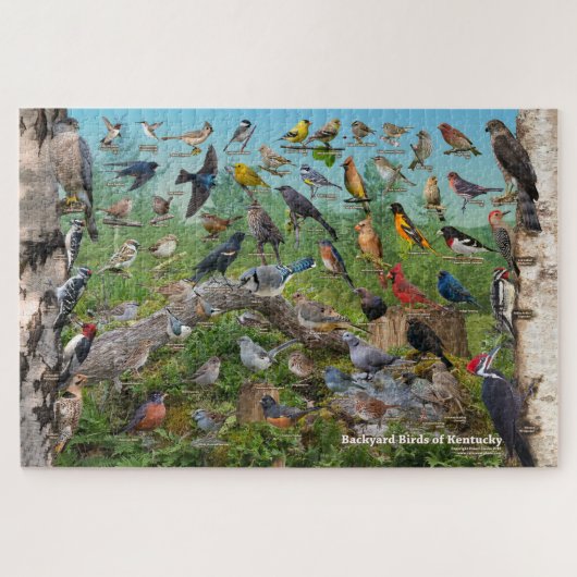 Achtertuin vogels van Kentucky Legpuzzel (Horizontaal)