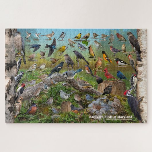 Achtertuin vogels van Maryland Legpuzzel (Horizontaal)