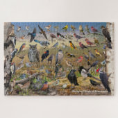 Achtertuin vogels van Minnesota Legpuzzel (Horizontaal)