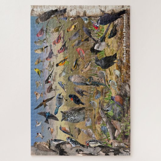 Achtertuin vogels van Minnesota Legpuzzel (Verticaal)