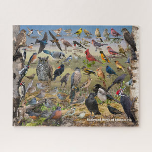 Achtertuin vogels van Minnesota Legpuzzel