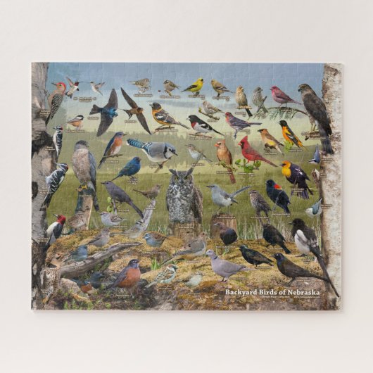 Achtertuin vogels van Nebraska Legpuzzel (Horizontaal)