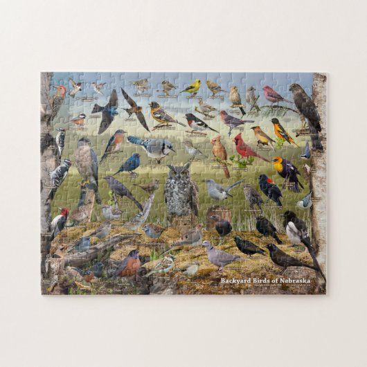 Achtertuin vogels van Nebraska Legpuzzel (Horizontaal)