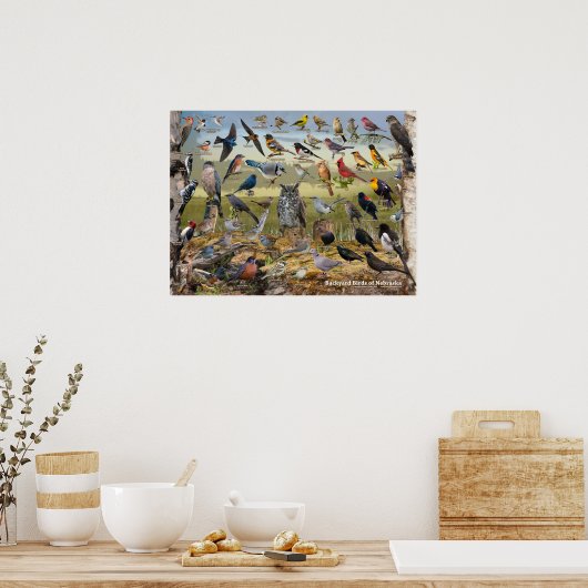 Achtertuin vogels van Nebraska Poster (Keuken)