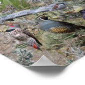 Achtertuin vogels van Nevada Poster (Hoek)